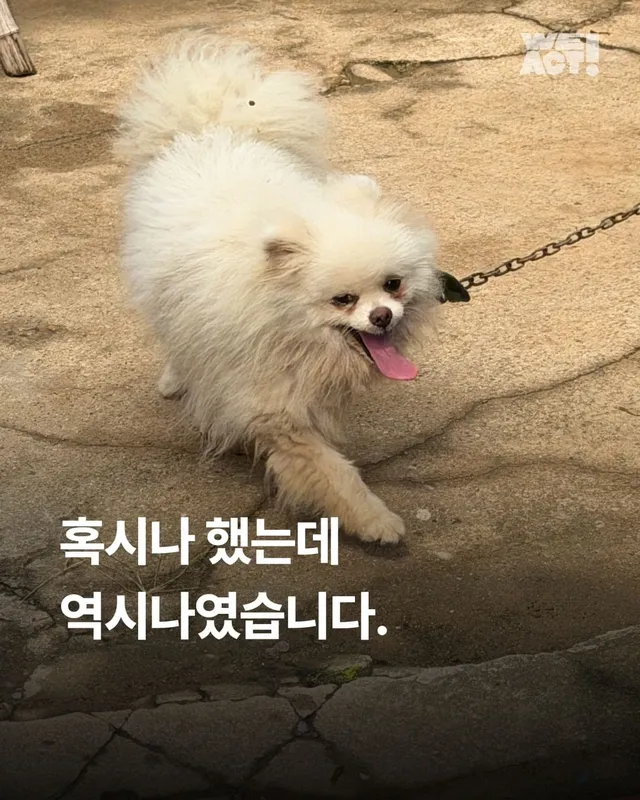 혹시나 했는데 역시나였습니다.
