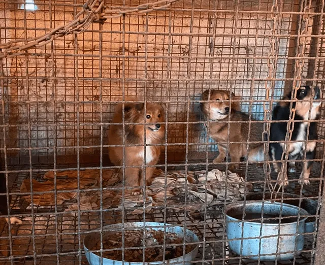 김포개농장_2021_03