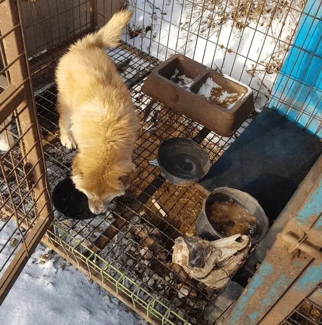 화성팔탄개농장_2021_03