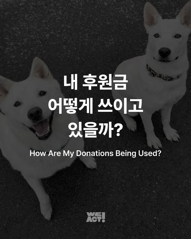 내 후원금, 어떻게 쓰이고 있을까?