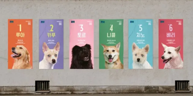 패드 배변 성공률 100%, 나를 입양하시개[지구용]
