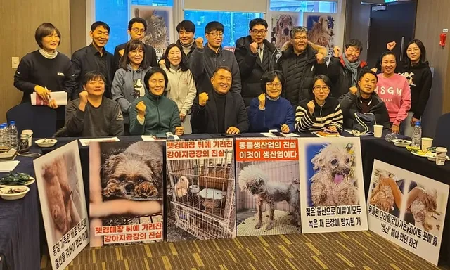 계속되는 루시법 갈등…설명회·반발집회에 입법 공약까지