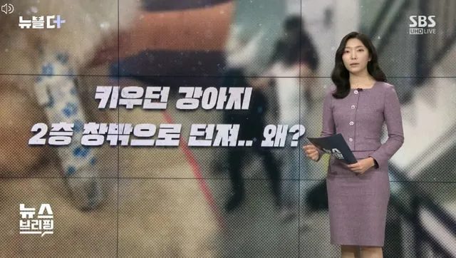 [뉴블더] 빌라 2층 창문에서 강아지 냅다 던져…"겁주려고"