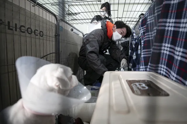안철수 “개농장 업종전환 지원…동물 대한 사회적 책무 다해야”