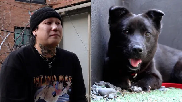 “저런 사람이 개를 키워?” 눈 속 버려진 유기견 만난 날 [개st하우스]