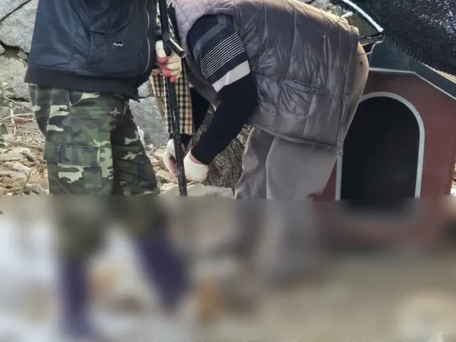 [언론 보도] 입양 보냈더니 “잡아먹었다?”…공공기관서 사라진 강아지 가족