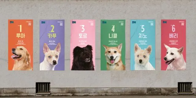"멍멍, 저를 뽑아주세요" 선거 콘셉트 구조견 입양 행사